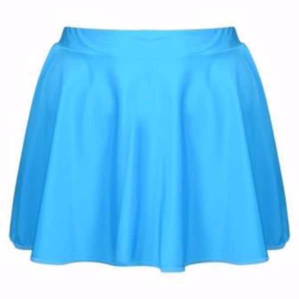 Picture of Circular Skirt Adult