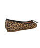 Picture of Ballet Flat - Leopard