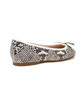 Picture of Ballet Flat - Snakeskin